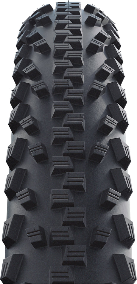 Pneu à pneu SCHWALBE Black Jack 20x1.90" Active K-Guard SBC