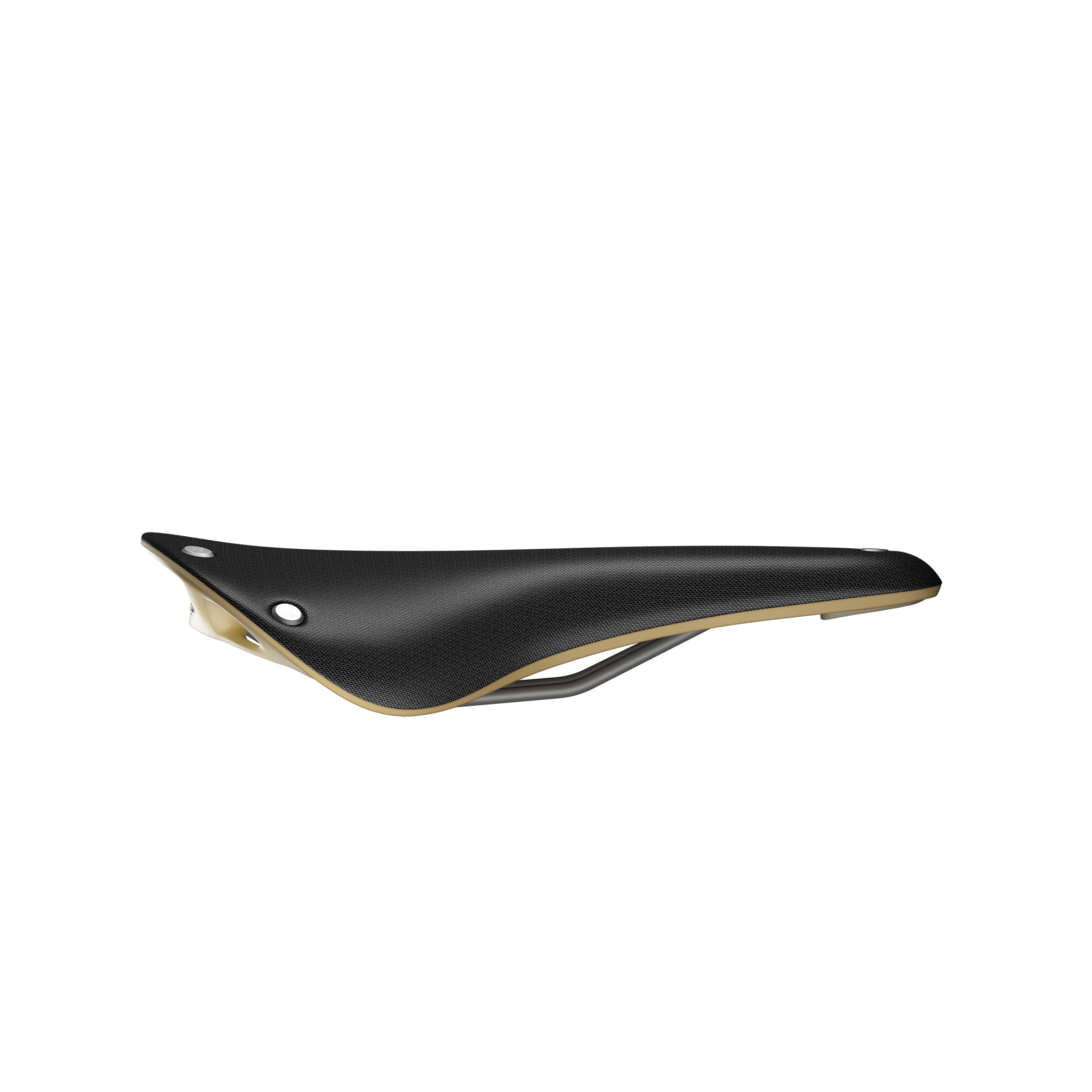 Selle Brooks Cambium C17 Special noir