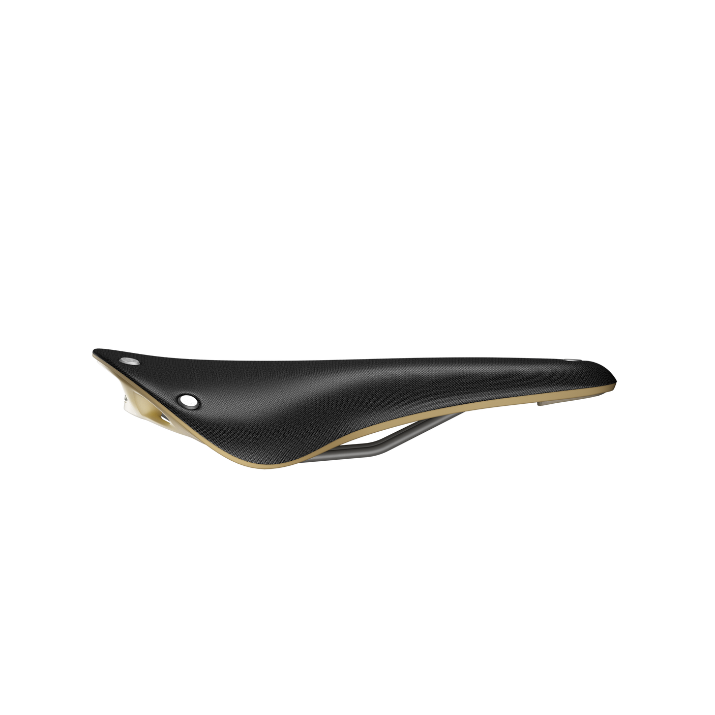 Selle Brooks Cambium C17 Special noir