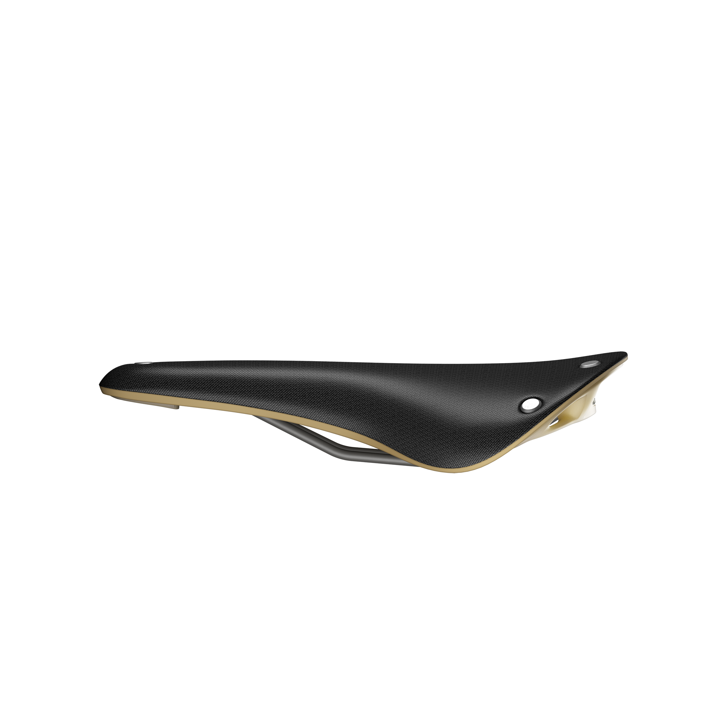 Selle Brooks Cambium C17 Special noir