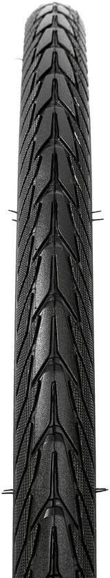 Schwalbe Energizer Plus Performance pneu rigide E-50 Addix.E Reflex 28x1,40" noir